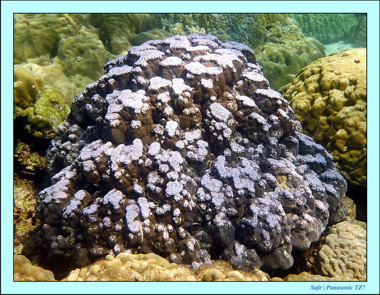 2012 - 03 - Koh Ha 09